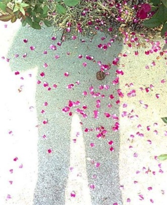 說明: http://www.elegantliving.cn/atta/1345599786500.jpg