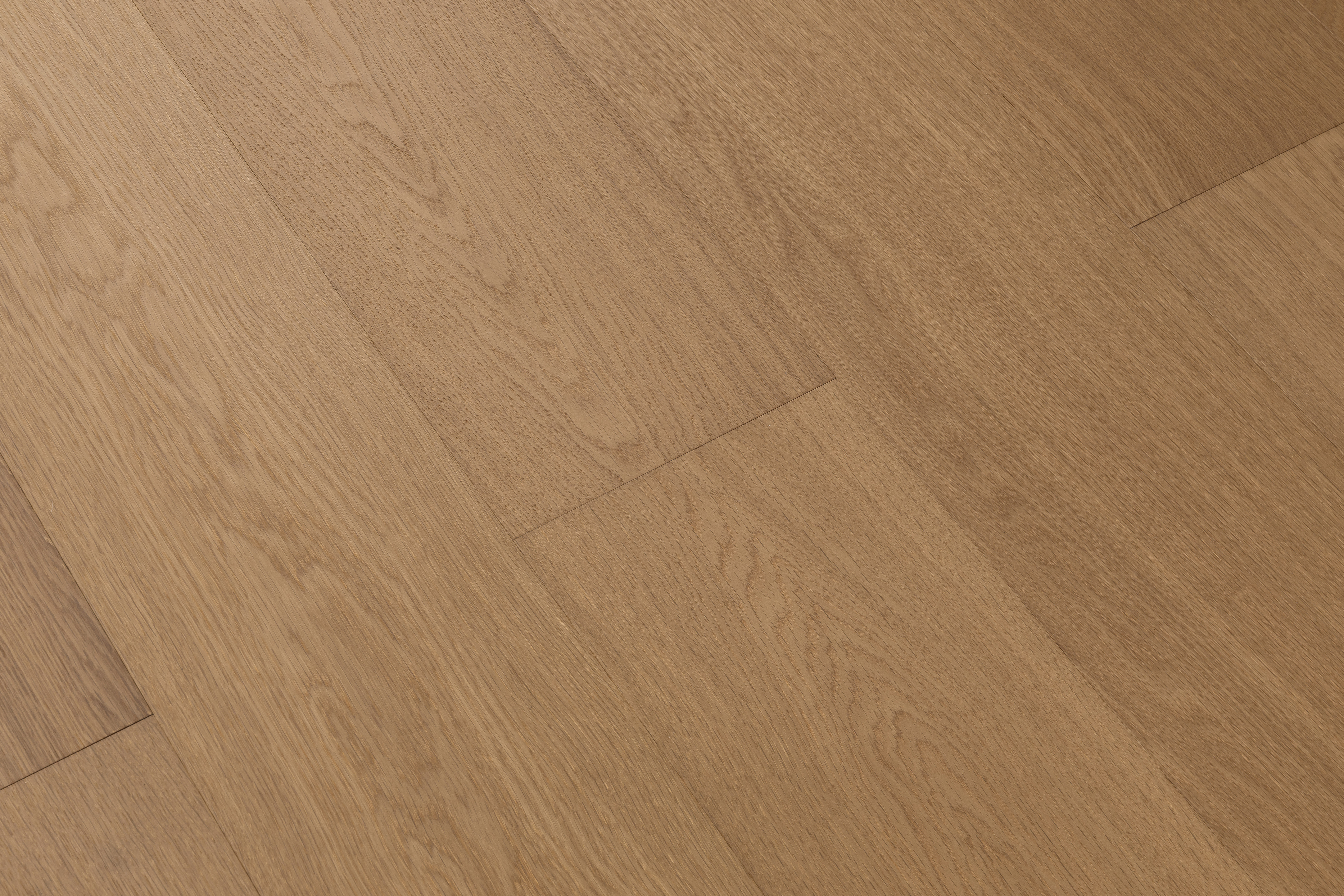 旭日金 750x500.jpg