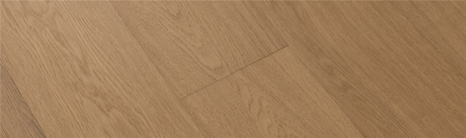 旭日金 1920x570.jpg